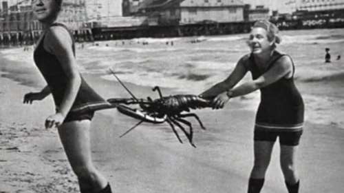 Το ΚΚΕ κάνει πλάκα σε Τσίπρα- Καμμένο με ένα απίστευτο βίντεο