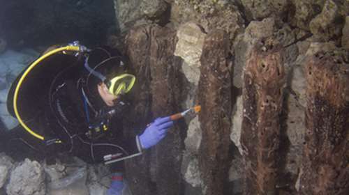 Υποβρύχια αρχαιολογική έρευνα στο λιμάνι του Λεχαίου