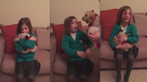 Γονείς «ζωντάνεψαν» το λούτρινο σκυλάκι της κόρης τους - η αντίδρασή της