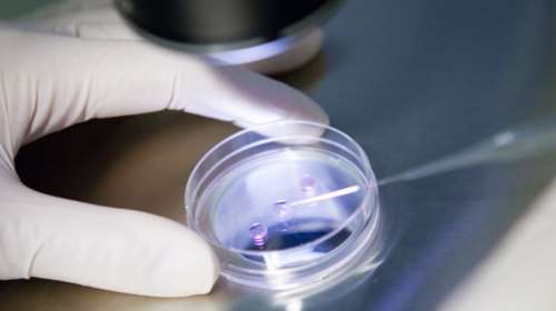 Ασυγχώρητο λάθος σε κλινική: Γονιμοποίησαν  26 γυναίκες με λάθος σπέρμα