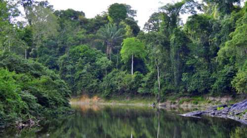 Βενεζουέλα: Ελικόπτερο με 13 επιβαίνοντες χάθηκε στη ζούγκλα του Αμαζονίου