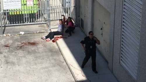 Μακελειό με πέντε νεκρούς στο αεροδρόμιο της Φλόριντα