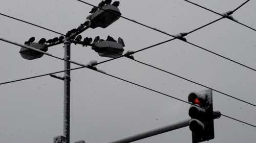 Στα ύψη λόγω χιονιά η κατανάλωση ρεύματος και φυσικού αερίου