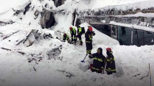 Τρία κουταβάκια βρέθηκαν ζωντανά στο ξενοδοχείο που χτύπησε χιονοστιβάδα