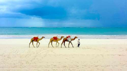 Νational Geopraphic: 14 παιδιά κέρδισαν το διαγωνισμό καλύτερης φωτογραφίας