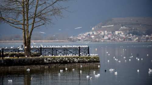 Mαγευτικές εικόνες από την πανέμορφη λίμνη Ιωαννίνων