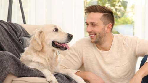 Και όμως: Ο σκύλος επηρεάζει την προσωπικότητά σας