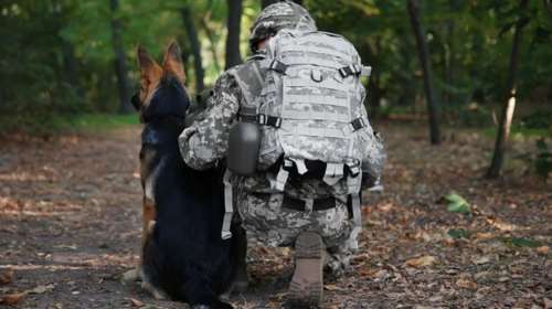 Δεν θα χρησιμοποιηθεί η Εθνοφρουρά σε &quot;σκούπα&quot; κατά μεταναστών