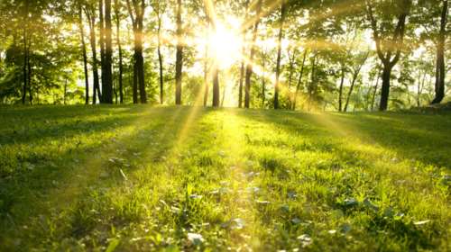 Ανοιξιάτικος ο καιρός με άνοδο της θερμοκρασίας