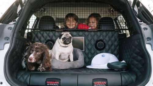 Nissan X-TRAIL 4Dogs: 5άστερο ξενοδοχείο για σκύλους σε 4 τροχούς