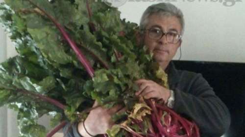 Παντζάρι- γίγας φύτρωσε σε χωράφι στην Κρήτη!   φωτό