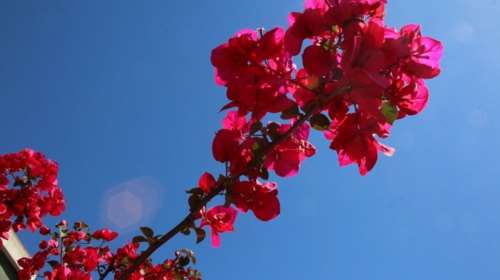 Λιακάδα στο μεγαλύτερο μέρος της χώρας με άνοδο θερμοκρασίας