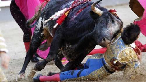 Δίνει μάχη για τη ζωή στον πρώτο του αγώνα σε μεγάλη αρένα (ΣΚΛΗΡΟ ΒΙΝΤΕΟ)