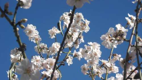 Καιρός: Aραιές νεφώσεις και άνοδος της θερμοκρασίας