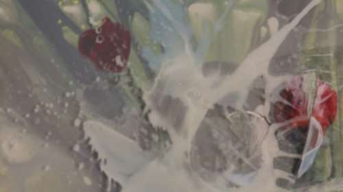 Δώδεκα καλλιτέχνες στον Εικαστικό Κύκλο: Ένα άλμπουμ εικόνων