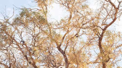 Ελλη Τσάτσου: Φωτογραφικές εικόνες με «ψυχή»