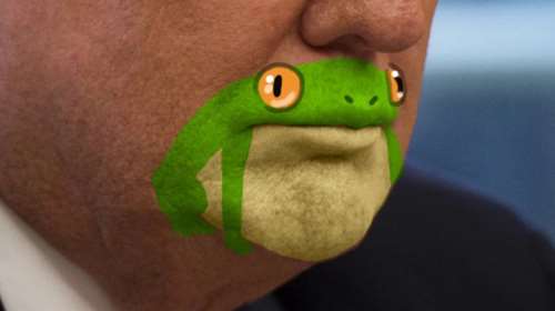 Το twitter «γλεντάει» τον Τραμπ: Το πιγούνι... βάτραχος