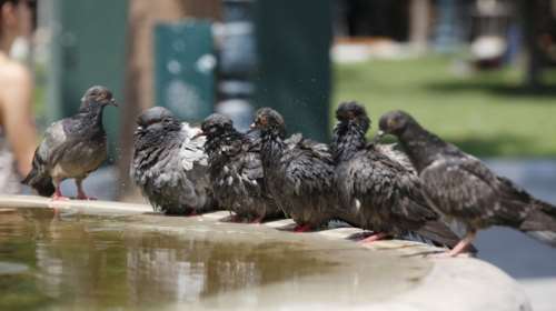 Έως 33 βαθμούς και σήμερα ο υδράργυρος - αναλυτική πρόγνωση
