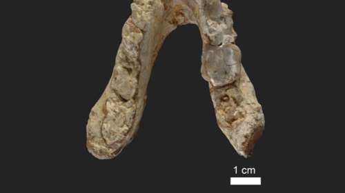 Ο πρώτος άνθρωπος στον πλανήτη ίσως να εμφανίστηκε στην Ελλάδα