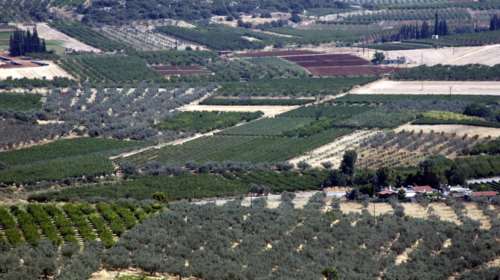 Εκτός ΕΝΦΙΑ τα αγροτεμάχια ως το 2018- Νέα «τρύπα» 460 εκατ.