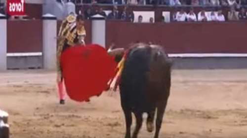 Ταυρομάχος έχασε τη ζωή του στην αρένα