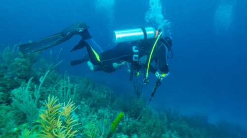 Νεκρός ψαροντουφεκάς στη Χαλκιδική - Χτυπήθηκε από ταχύπλοο
