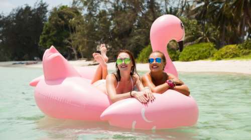 Πώς ξεκίνησε η τρέλα με τα φουσκωτά ροζ φλαμίνγκος που είναι παντού