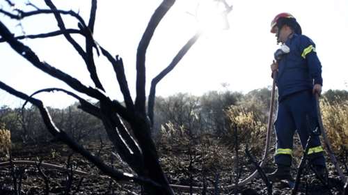 Πυροσβετική: 62 δασικές φωτιές ξέσπασαν μέσα σε 24 ώρες