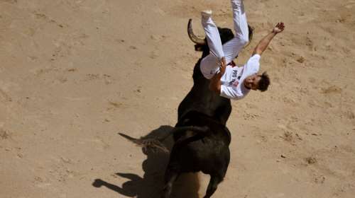 Αρχισε ο επικίνδυνος χορός με τους ταύρους στην Παμπλόνα! φωτό