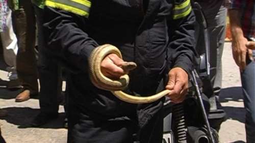 Κοζάνη: Βρήκαν φίδι σε κατάστημα με παιδικά ρούχα