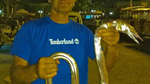 Ναύπλιο: Ψάρι... «ανακόντα» μπλέχτηκε στα δίχτυα ψαρά -  Εικόνες