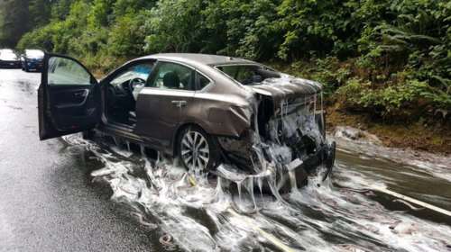 ΗΠΑ: Αυτοκίνητα στο Ορεγκον γέμισαν με... χέλια