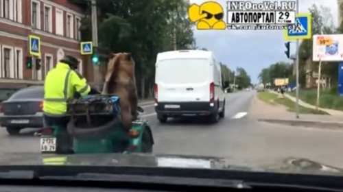 Βόλτα με μηχανή και συνεπιβάτη αρκούδα