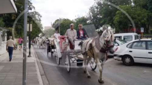 Κινητοποίηση αμαξάδων στα Χανιά - Εξω από το Δημαρχείο όσο χρειαστεί