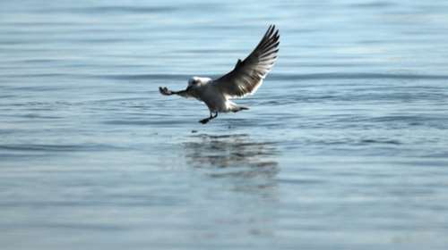 «Ανάσα» από σήμερα, πέφτει σταδιακά η θερμοκρασία