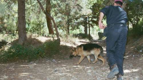 Εξαφανίστηκε ένας 87χρονος από κλινική - Σε εξέλιξη οι έρευνες