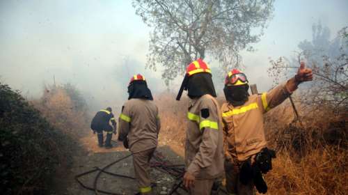 Μεσσηνία: Σε εξέλιξη φωτιά στην περιοχή Καμάρι Σιδηροκάστρου