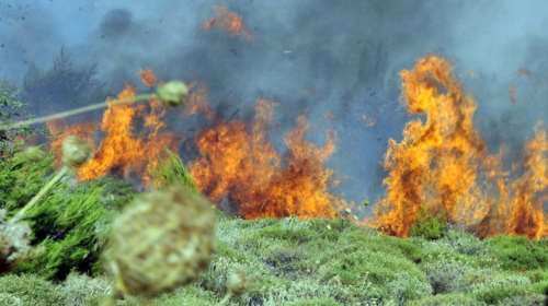 Νέο μέτωπο πυρκαγιάς από το πρωί στα Κύθηρα