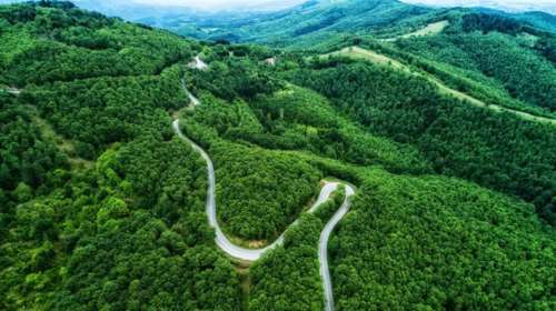 Δασικοί χάρτες: Δεν θα δοθεί νέα παράταση μετά τις 7 Σεπτεμβρίου