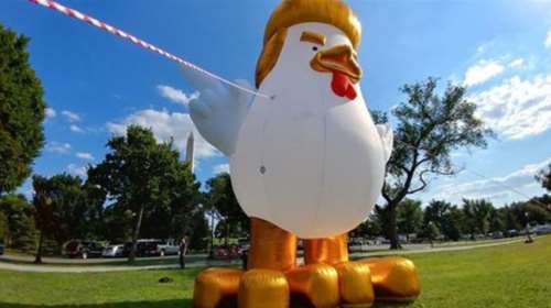 Απίστευτο: Κότα 7 μέτρων μπροστά στο Λευκό Οίκο