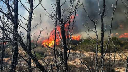 Σε πλήρη εξέλιξη δύο μεγάλες φωτιές στη Ζάκυνθο