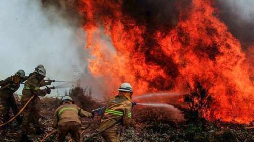 Πυροσβέστης πυρπολούσε κάδους για να του αναθέτουν την κατάσβεση...