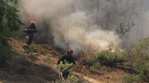 Δύο μέτωπα στην Αμαλιάδα, αναζωπυρώσεις στη Ζάκυνθο