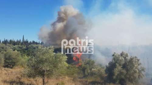 Ηλεία: Πέρασε ο κίνδυνος για τα Ροδινά - Σε χαράδρα η φωτιά