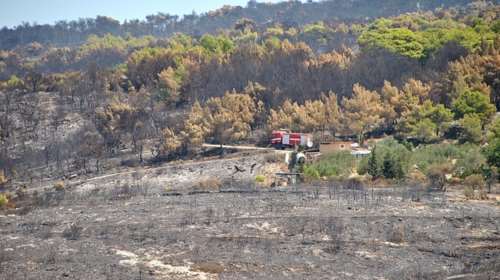 Το δάσος στα χωριά της Ζακύνθου: Πριν &amp; μετά τη φωτιά (ΦΩΤΟ)