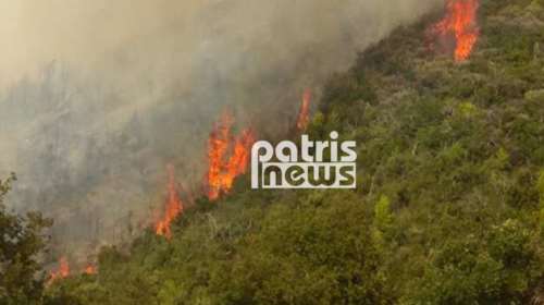 Νέα μεγάλη φωτιά στην Ηλεία - απεγκλωβίστηκε ηλικιωμένη