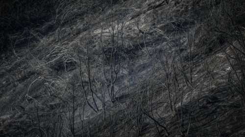 Σε ύφεση οι πυρκαγιές σε Διάσελο Ηλείας και Λιθακιά Ζακύνθου