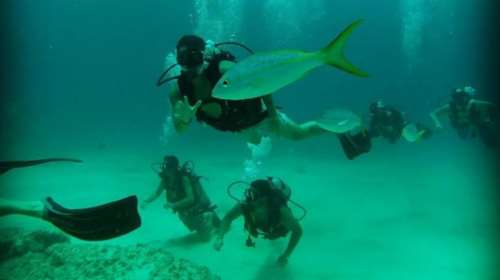 Διακοπές στην Τζαμάικα για τον Πετρετζίκη: Οι απίθανες υποβρύχιες εικόνες