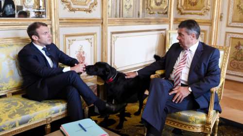 Ο Νέμο... υποδέχτηκε τον Γκάμπριελ στο Ελιζέ [ΕΙΚΟΝΕΣ]