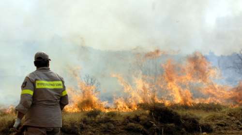 Ηλεία: Περαστικός βρήκε εμπρηστικό μηχανισμό - Εσβησε μόνος του φωτιά